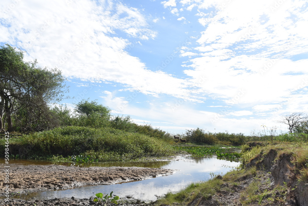 Imagenes de la llanura, campo argentino