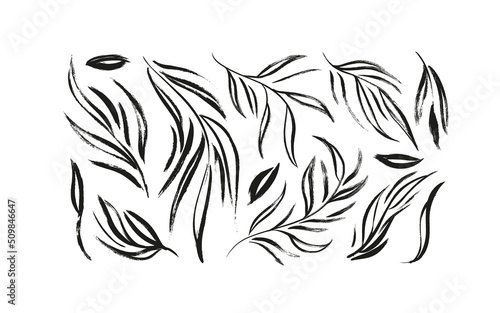Plant branches with long leaves vector illustrations set. Hand drawn branch and twigs isolated on white. Hand drawn eucalyptus foliage, herbs, tree branches. Monochrome rustic botanical illustration.