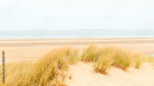 Wild beach landscape Wide beach with sand dunes on the coast of sea © zontica