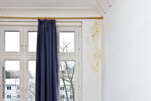 Fototapeta Naklejka Na Ścianę i Meble -  Orange and green mold or mildew growing behind the drapes on a damp patch of a white external wall in an old house.