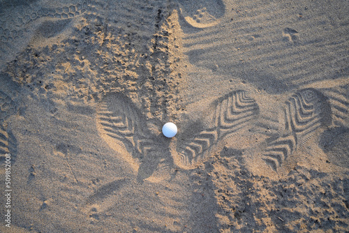 Golf concept. Golf ball and rake sand on bunker in beautiful golf course at sunset background