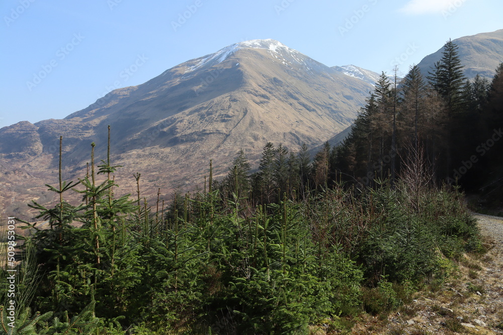 Fototapeta premium mamores glen nevis Sgùrr a' Mhàim scotland highlands