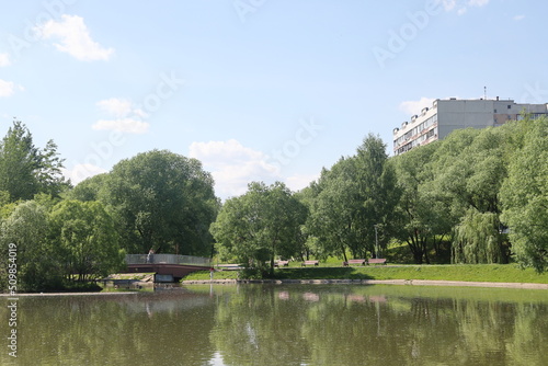 Photography Lush greenery of trees and lawns around the pond in the park, urban landscape park