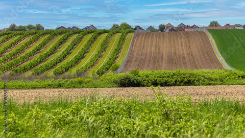 Crop Fields Hill photo