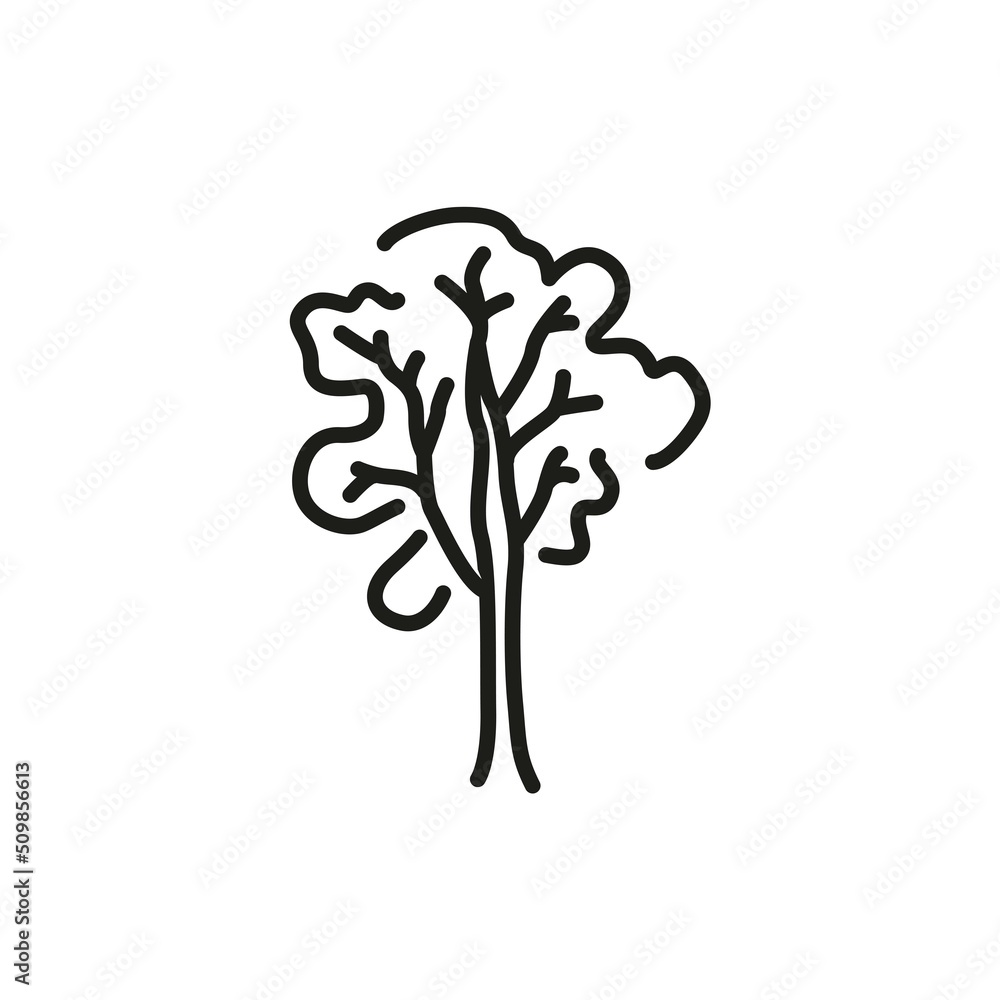 Ash tree color line icon. Pictogram for web page
