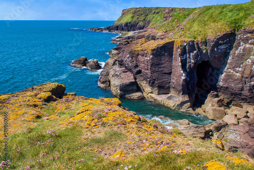 Vászonkép County Waterford shoreline near Dunmore East