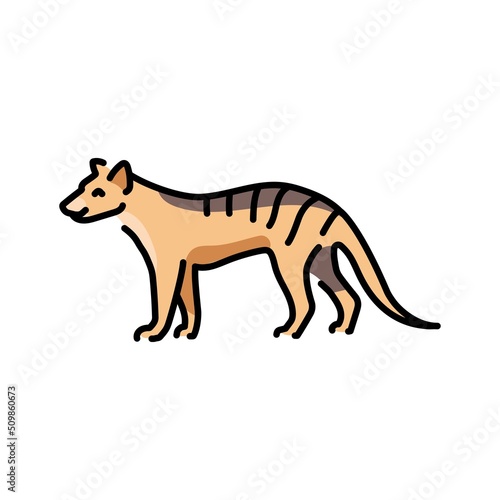 Marsupial wolf color line illustration. Animals of Australia