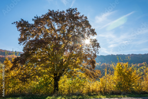 Herbst in Gronsdorf 