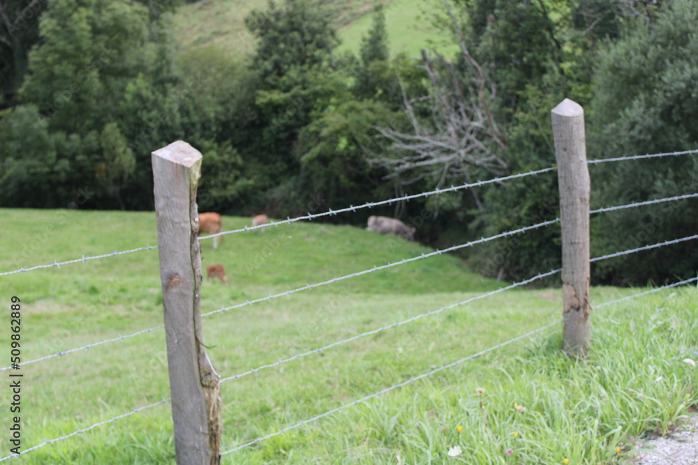 Fototapeta premium Valla de alambre con pilares de madera