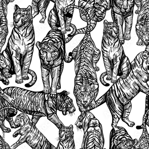 Canvas Print Tiger engraved seamless pattern on white background