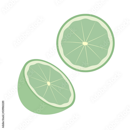lime slice. citrus.