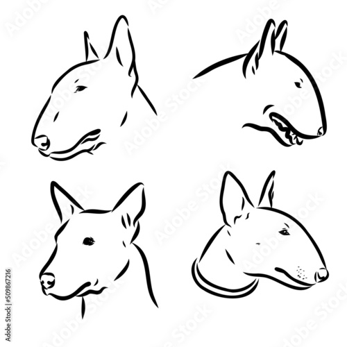 Billede på lærred Cute bull terrier dog sketch