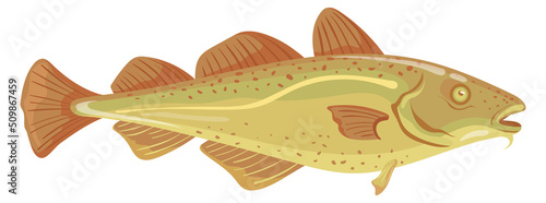 Codfish icon. Cartoon underwater animal. Seafood symbol