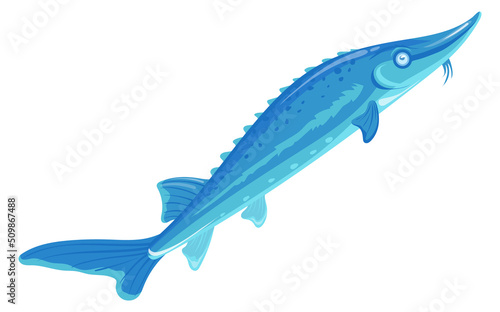 Blue sterlet icon. Cartoon fish. Fisherman catch