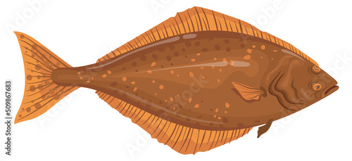 Halibut icon. Fresh product logo. Cartoon fish