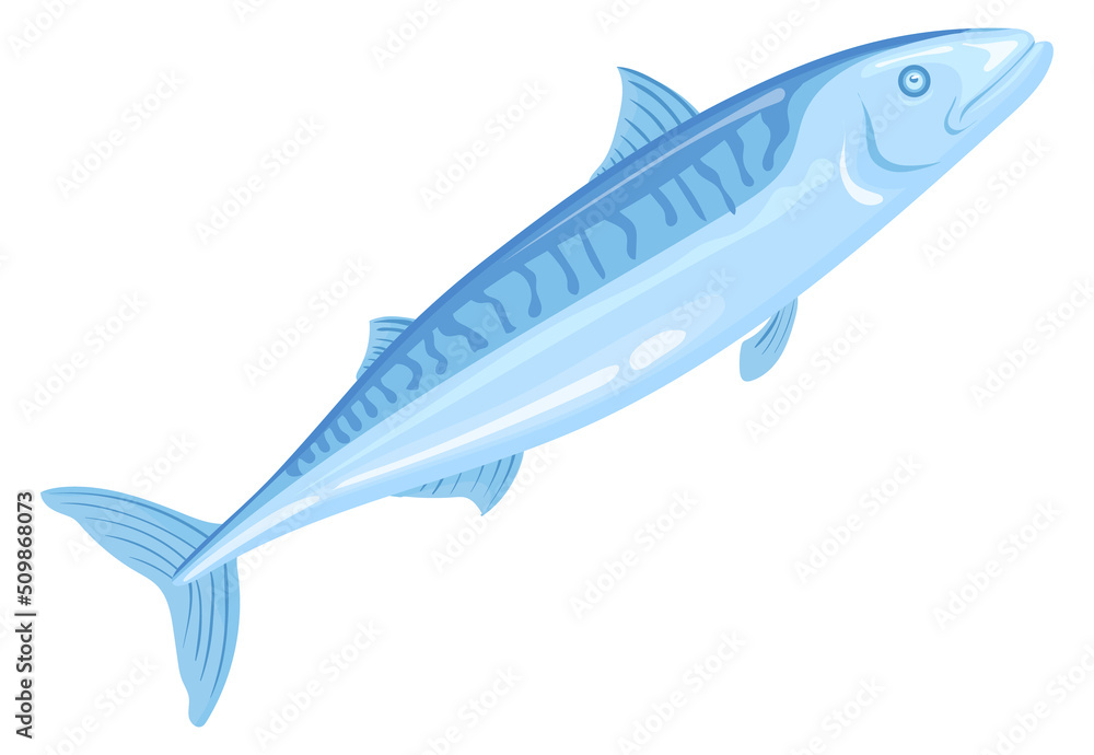 Silver mackrel. Atlantic ocean fish. Traditional trawl symbol