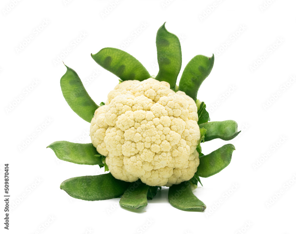 Cauliflower isolated on white background,fresh helathy Cauliflower isolated on white background,fresh helathy