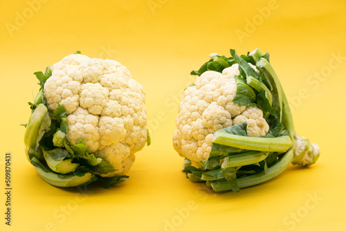 Cauliflower isolated on yellow background, vegetable concept of cooking