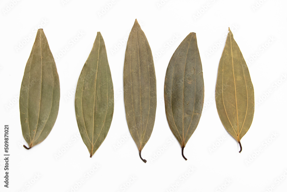 Dry bay leaves set isolated on white background top view.