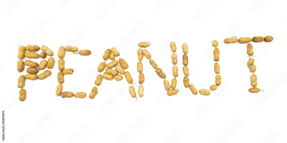 peanut written by unpeeled peanuts isolated on white background.