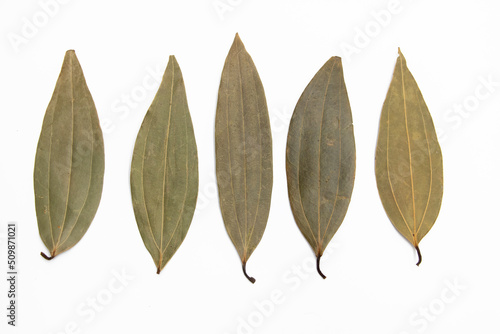 Obraz na płótnie Dry bay leaves set isolated on white background top view. w salonie
