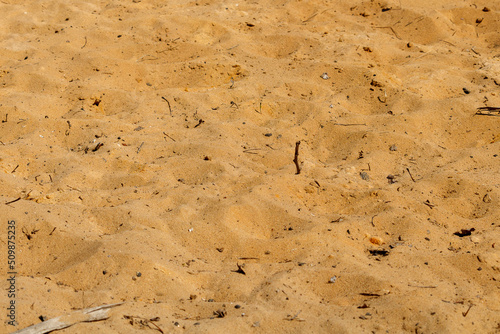 Untreated and natural, golden yellow beach sand