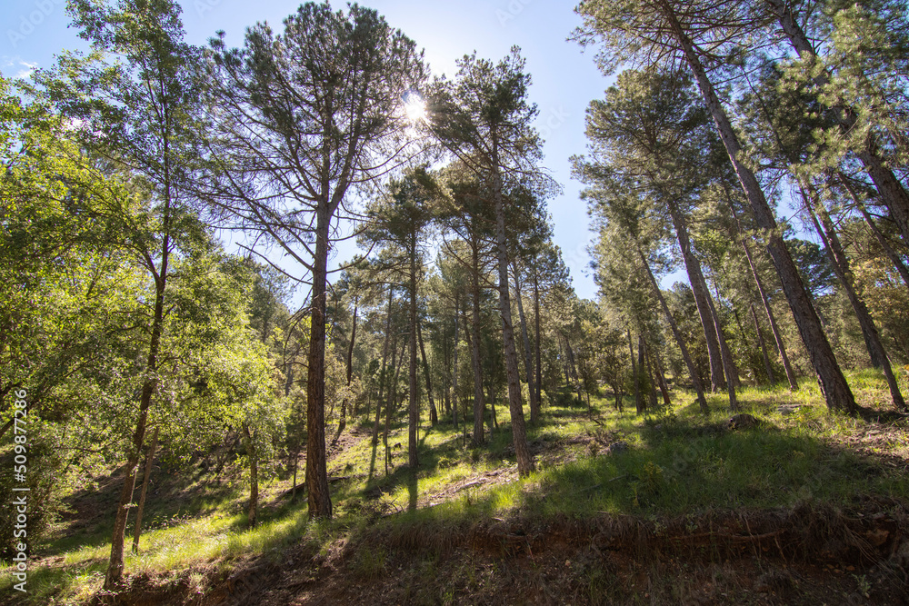 Trails with wonderful views of the Sierra De Cazorla, Spain. Nature tourism concept. Trails with wonderful views of the Sierra De Cazorla, Spain. Nature tourism concept.