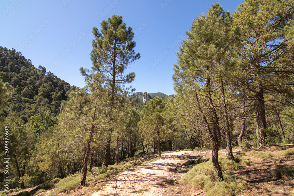 Trails with wonderful views of the Sierra De Cazorla, Spain. Nature tourism concept.