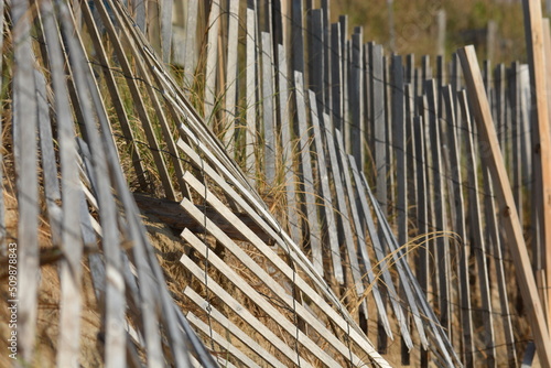 Beach fencing