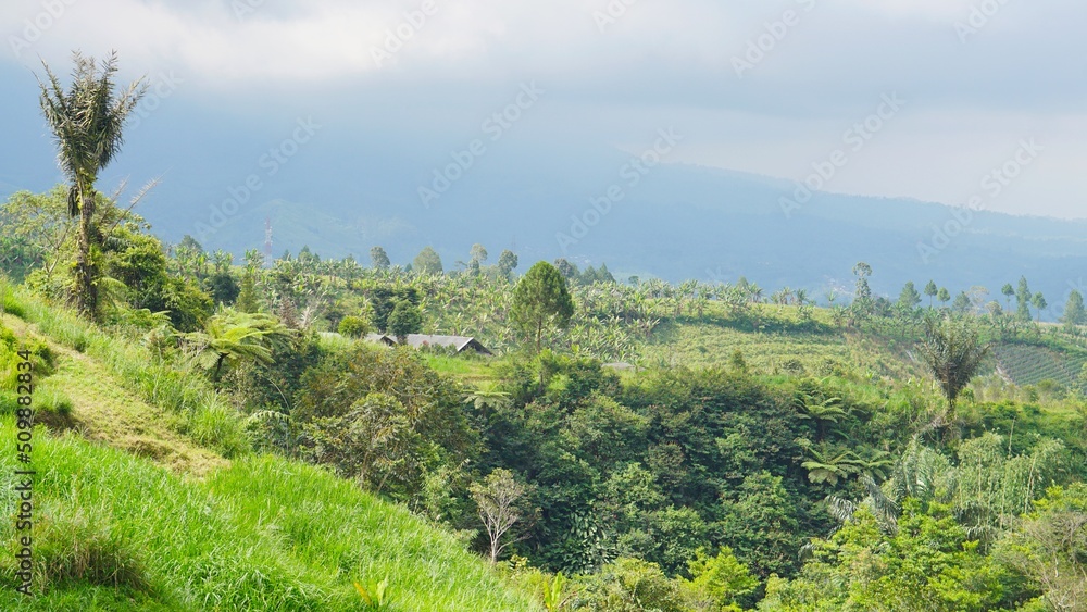 beautiful natural landscape mountains hilly nature panorama, with green forest and green grassy slopes under cloudy blue sky in daytime