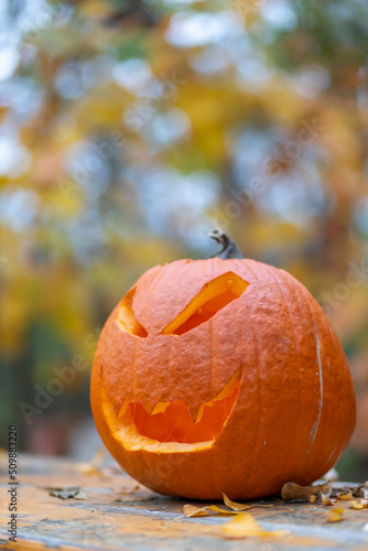 halloween pumpkin, autumn still life