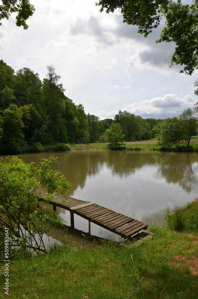 Kleiner Teich im Wald mit Holzsteg - Tümpel