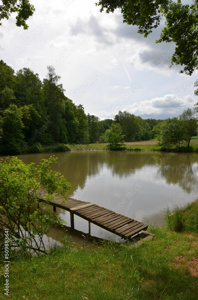 Kleiner Teich im Wald mit Holzsteg - Tümpel Kleiner Teich im Wald mit Holzsteg - Tümpel