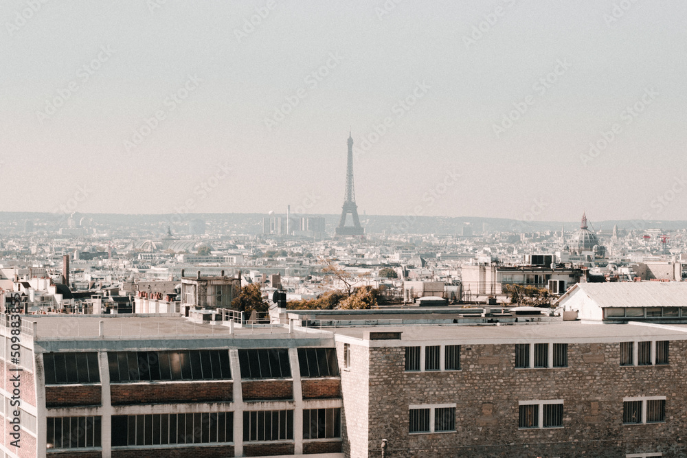 Parisian Skyline
