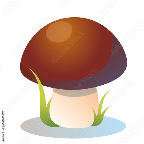 Bright vector illustration of porcini mushroom for your designs. Cute juicy style