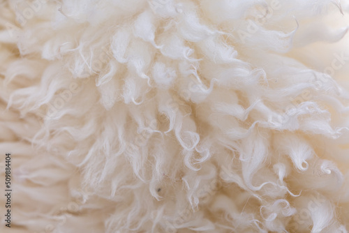 White animal fur. Weasel or cat hair. Fur clothes, white fur coat close up. Eco-wool, eco-leather artificial fur.