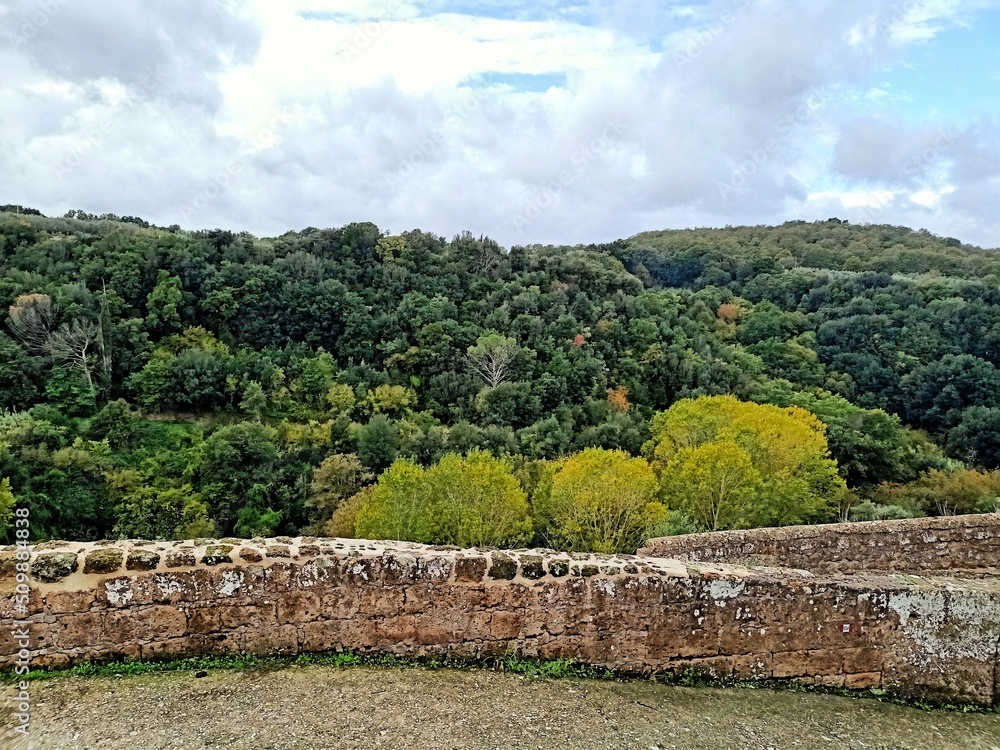 vineyard in region