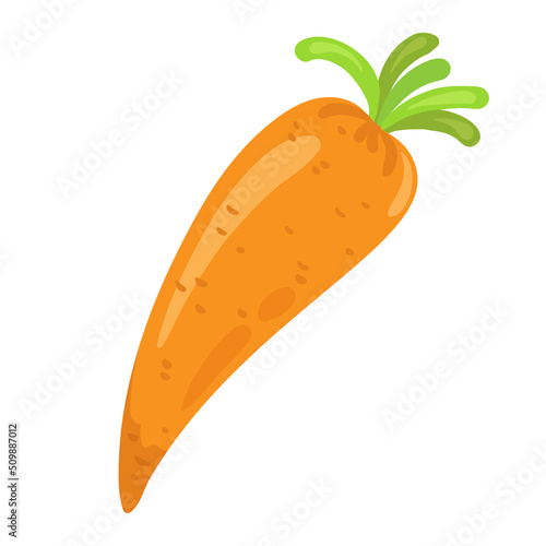 Cute orange carrot. In cartoon style. Isolated on white background. Vector  flat illustration.