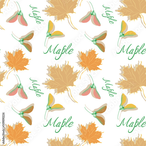 Seamless botanical pattern with maple leaves and seeds in flat technique 