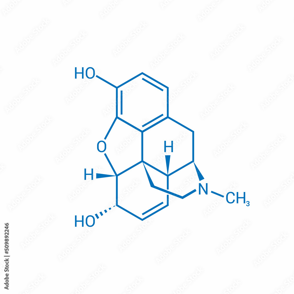 chemical structure of Morphine (C17H19NO3) chemical structure of Morphine (C17H19NO3)