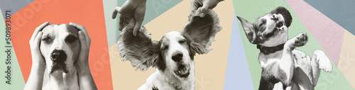 Emotions of dogs, pets in human hands, digital collage. Three dogs showing scared, happy and playful emotions, isolated portraits on pastel coloured paper background photo