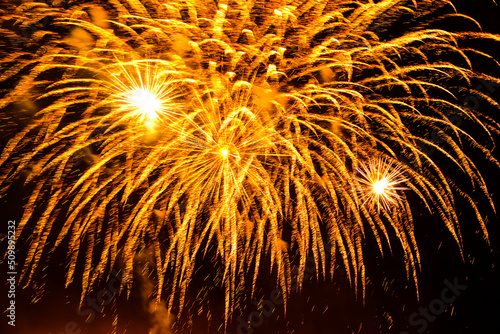Golden flowers of bright fireworks on a black night sky.