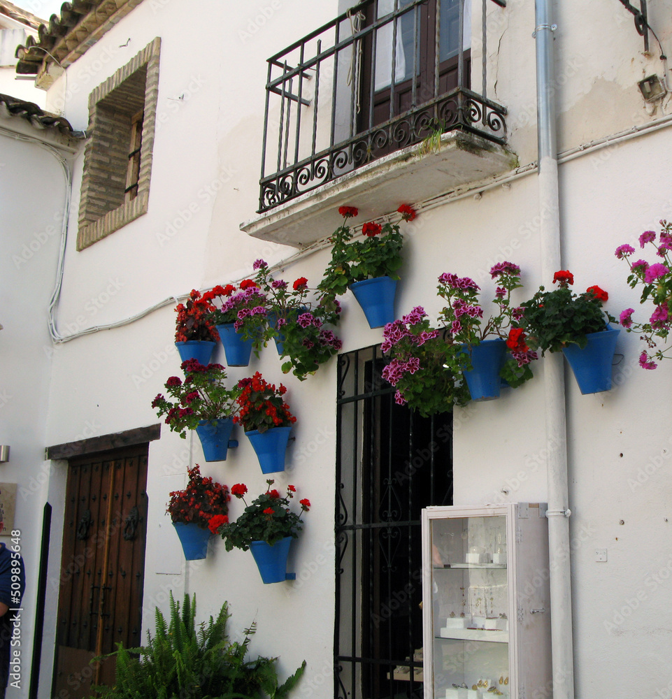Calle de Flores in Cordoba. Walls and balconies of houses are decorated with many flowers. Geraniums, hydrangeas, carnations, roses. Walls of houses are painted white, flowers look especially bright.