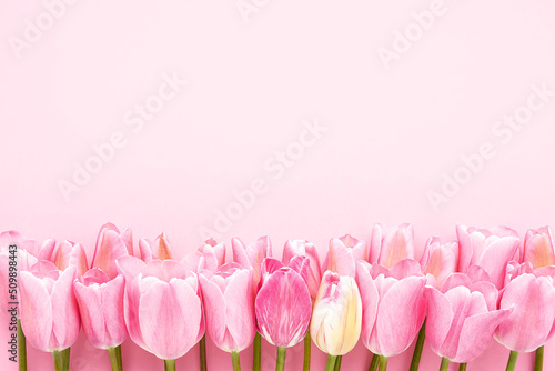 Pink tulips border on pink background. Mothers Day, Valentines Day, birthday celebration concept