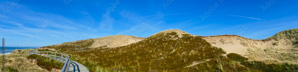 Landschaftspanorama Dünenweg Dünenlandschaft Rotes Kliff Sylt