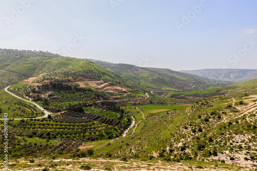 Irbid, Jordan : nature and trees in Umm Qais road