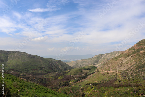 Irbid, Jordan : nature and trees in Zaqlab road