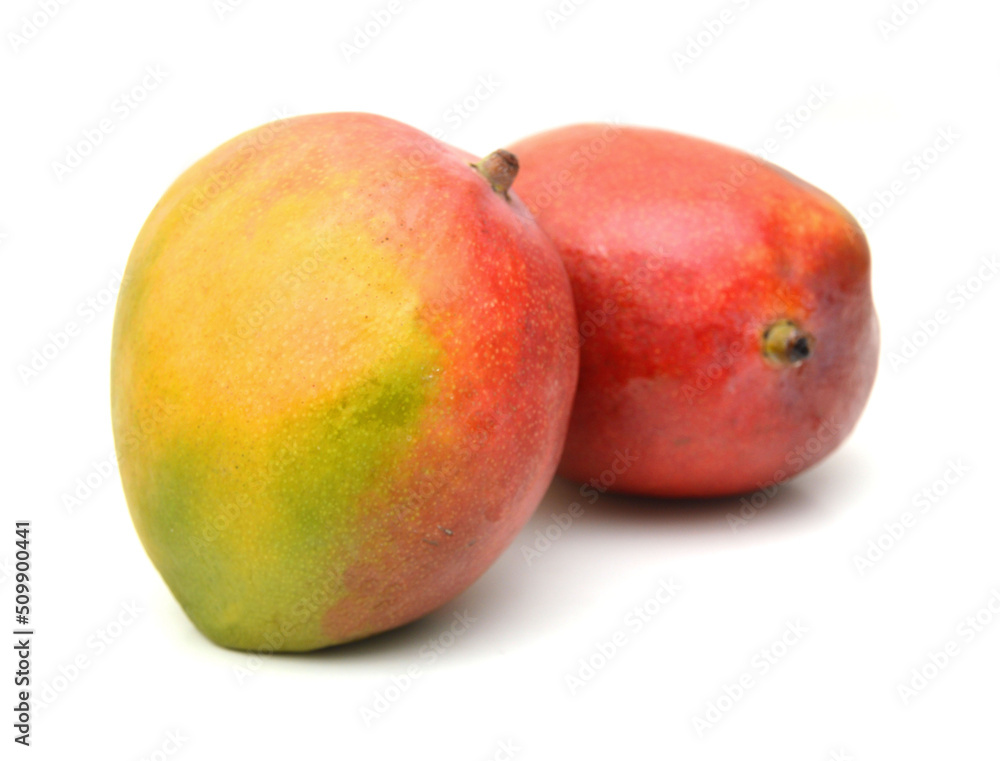 Mango fruit isolated on white background Mango fruit isolated on white background