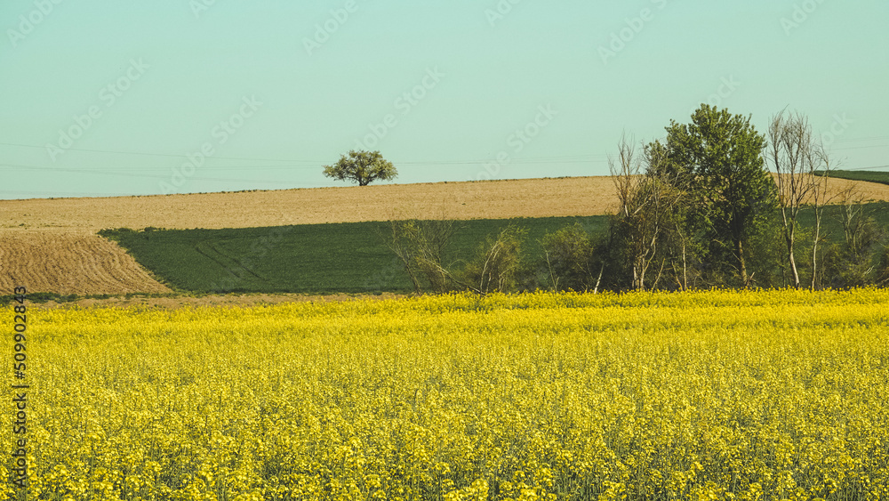Peaceful landscape with meadow, hills, trees and sky, meadowland Peaceful landscape with meadow, hills, trees and sky, meadowland