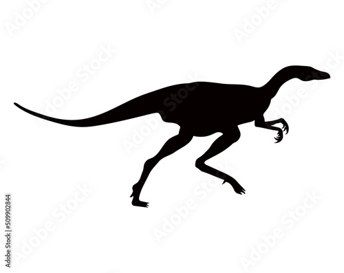 Dinosaurs of the Jurassic period. Silhouettes of different dinosaurs. Vector dinosaurs.